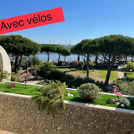 Lejlighed Vue Port, Belle Terrasse, Piscine