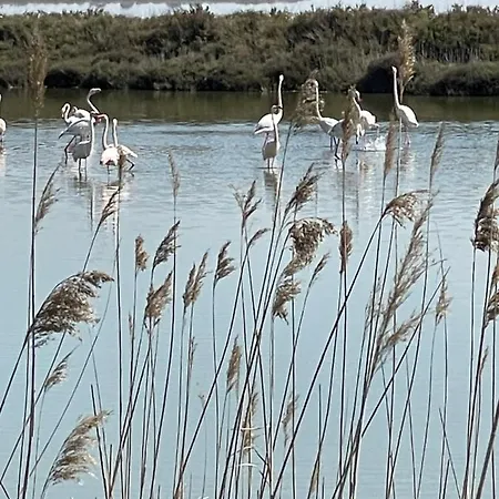 Vue Port, Belle Terrasse, Piscine 아파트 *