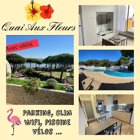 Vue Port, Belle Terrasse, Piscine Lejlighed